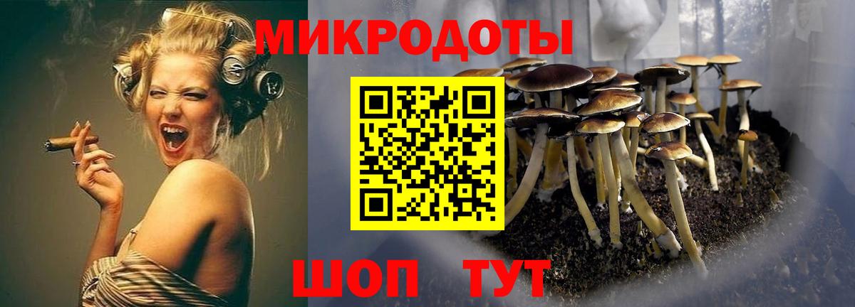 Псилоцибиновые грибы ЛСД Алейск